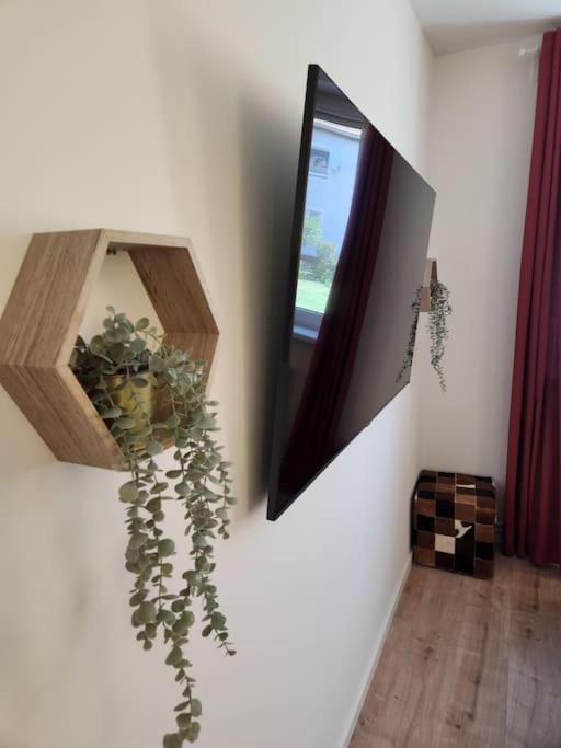 Baltic Garden Suite Dziwnów 외부 사진